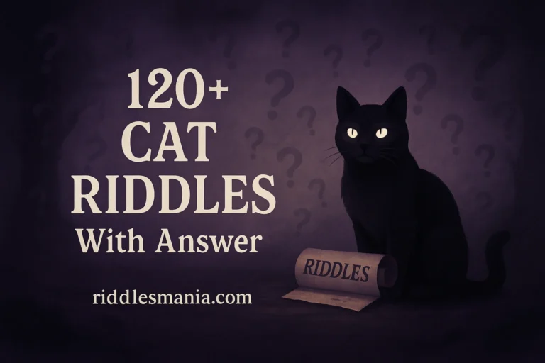 Cat Riddles With Answer